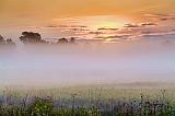 Misty Sunrise_26787